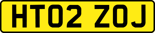HT02ZOJ