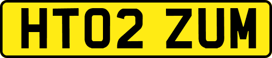 HT02ZUM