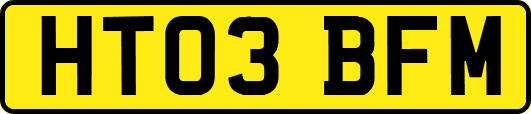 HT03BFM