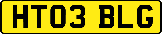 HT03BLG
