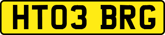 HT03BRG