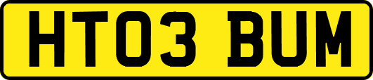 HT03BUM