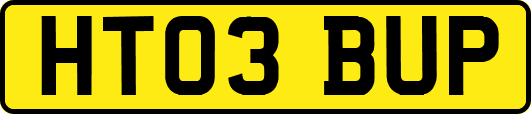 HT03BUP