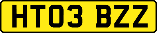 HT03BZZ