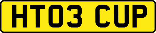 HT03CUP