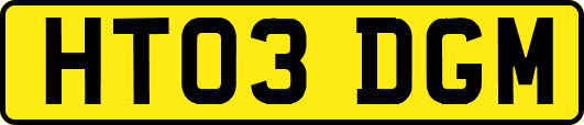 HT03DGM
