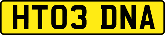HT03DNA