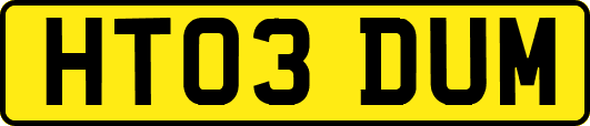 HT03DUM