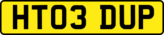 HT03DUP