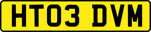 HT03DVM