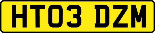 HT03DZM