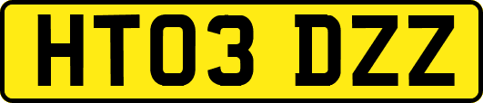 HT03DZZ