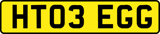 HT03EGG