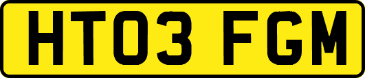 HT03FGM