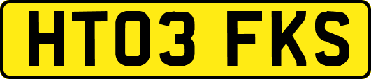 HT03FKS