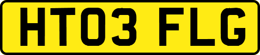 HT03FLG