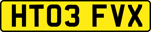 HT03FVX