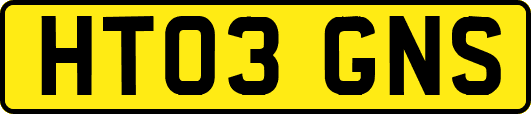 HT03GNS