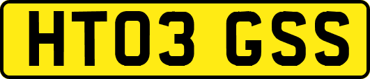HT03GSS