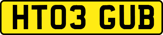 HT03GUB