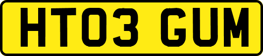 HT03GUM