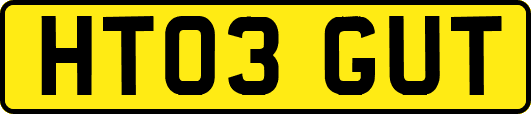 HT03GUT