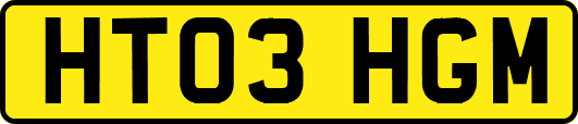 HT03HGM