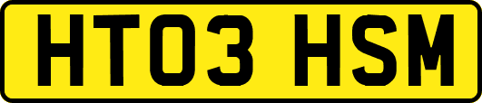 HT03HSM
