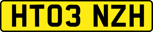 HT03NZH