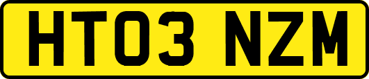 HT03NZM