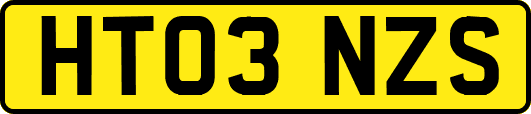 HT03NZS