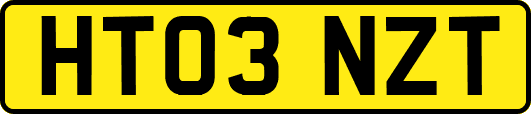 HT03NZT