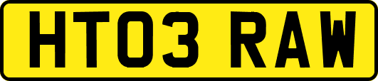 HT03RAW
