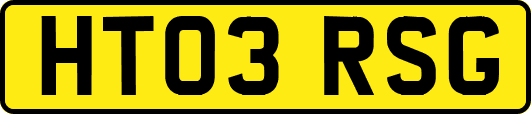 HT03RSG
