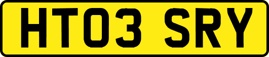 HT03SRY