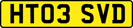 HT03SVD