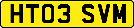 HT03SVM