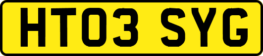 HT03SYG