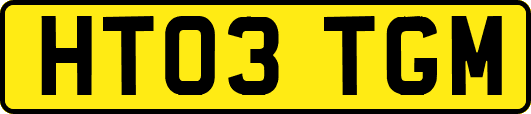 HT03TGM