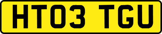 HT03TGU