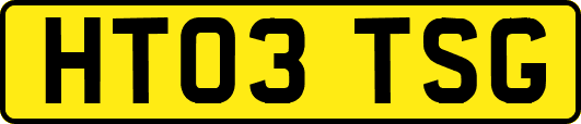 HT03TSG