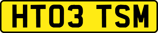HT03TSM