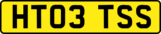 HT03TSS