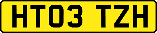 HT03TZH