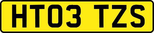 HT03TZS