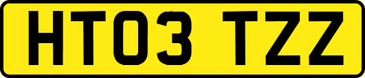 HT03TZZ