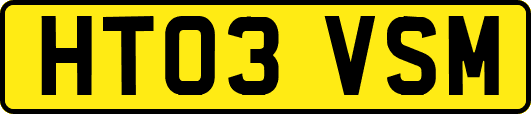 HT03VSM
