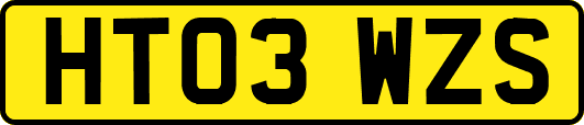 HT03WZS