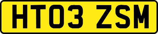 HT03ZSM