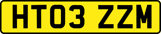 HT03ZZM